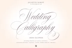 Juliette - Wedding calligraphy font by Blessed Print