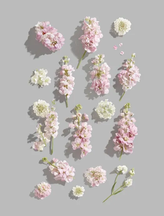Flowers Mockup Set — preview 1