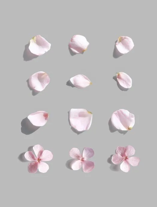Flowers Mockup Set — preview 2