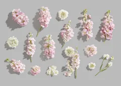 Flowers Mockup Set — preview 1