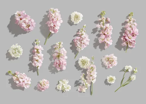 Flowers Mockup Set — preview 1