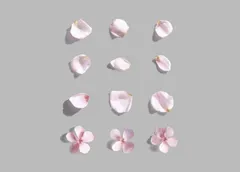 Flowers Mockup Set — preview 2