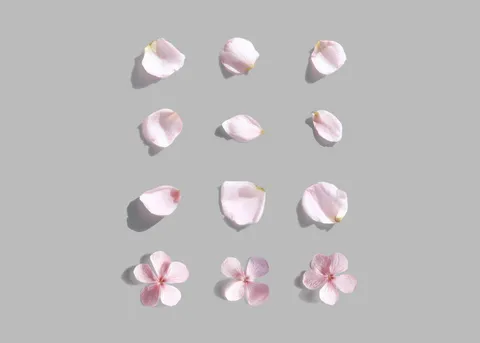 Flowers Mockup Set — preview 2