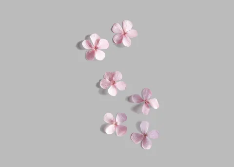 Flowers Mockup Set — preview 3