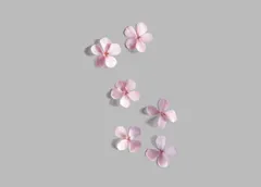 Flowers Mockup Set — preview 3