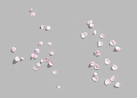 Flowers Mockup Set — preview 4