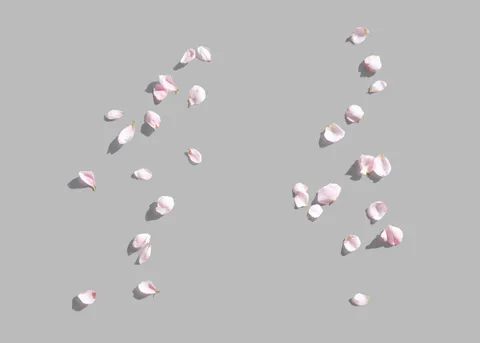 Flowers Mockup Set — preview 5