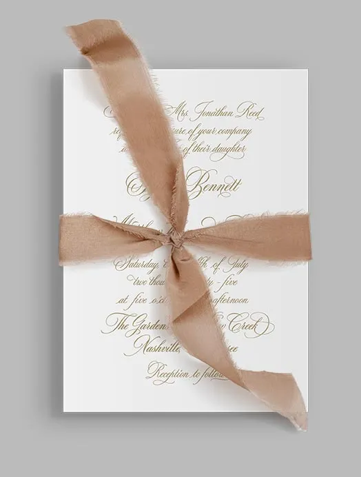 Ribbon Bow Elements — preview 1
