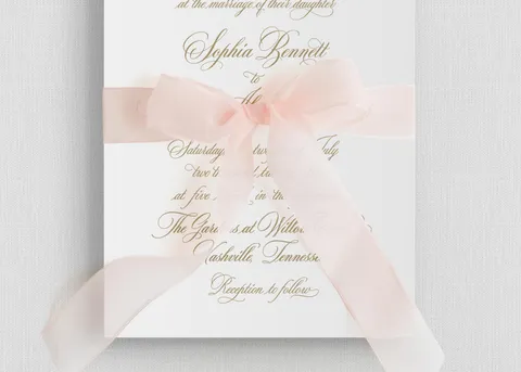 Ribbon Bow Elements — preview 6