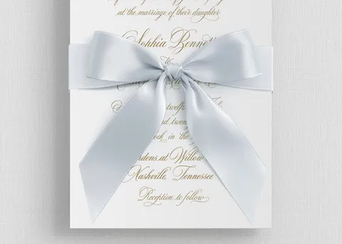 Ribbon Bow Elements — preview 7