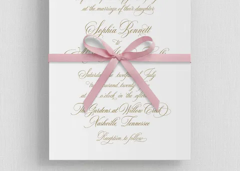 Ribbon Bow Elements — preview 9