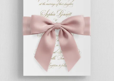 Ribbon Bow Elements — preview 10