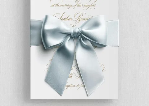 Ribbon Bow Elements — preview 11