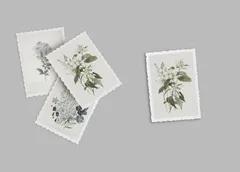 Postage Stamps Mockup — preview 2