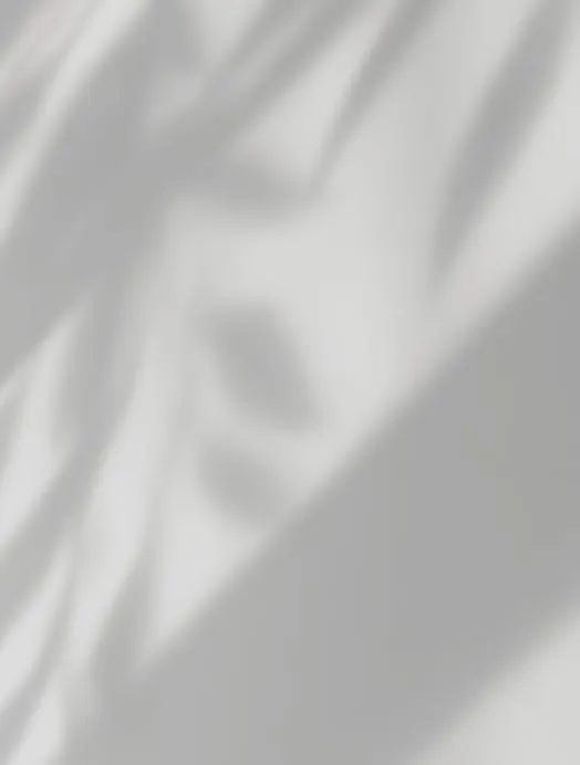 Window Lighting Overlay — preview 2